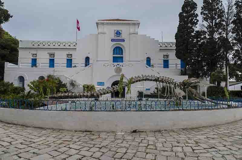 44 - Tunez - Cartago - museo Oceanografico